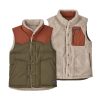 Patagonia Men’s Reversible Bivy Down Vest Basin Green BSNG