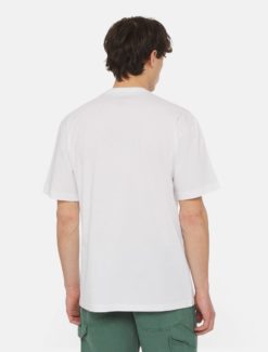 Dickies Aitkin Chest Tee White/Green