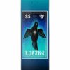 Darkstar Deck Symbols Lutzka 8.125